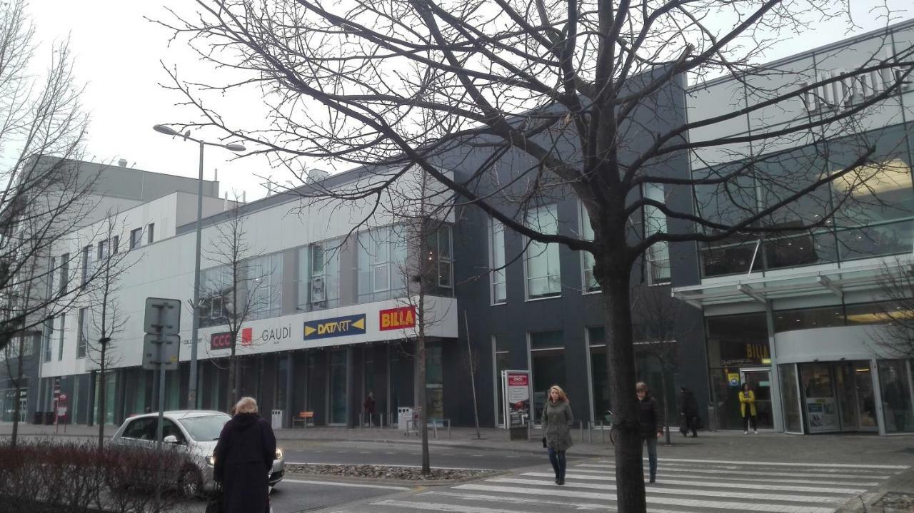 Design Apartment, The City Centre Close To The Health Spa Πιεστάνυ Εξωτερικό φωτογραφία